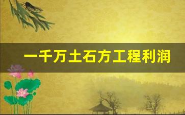 一千万土石方工程利润_本人有土石方运输车队