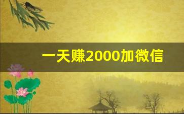 一天赚2000加微信_抖音关注10元一单兼职