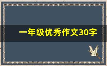 一年级优秀作文30字