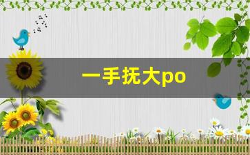 一手抚大po