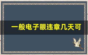 一般电子眼违章几天可以查到