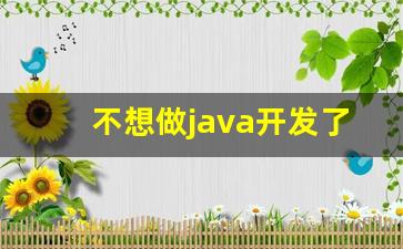 不想做java开发了还能做什么