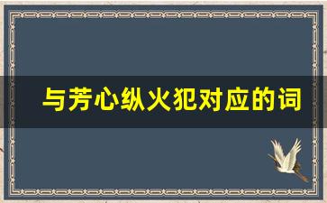 与芳心纵火犯对应的词_芳心纵火犯怎么接