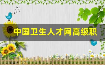 中国卫生人才网高级职称报名入口_南京卫生人才网