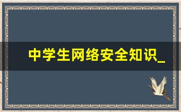 中学生网络安全知识_网络安全常识十条