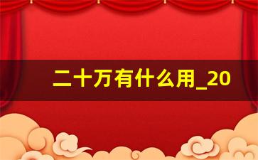 二十万有什么用_20万可以干什么