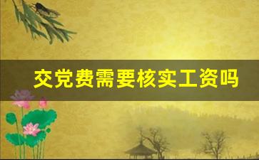 交党费需要核实工资吗_无工作党费缴纳一月5元