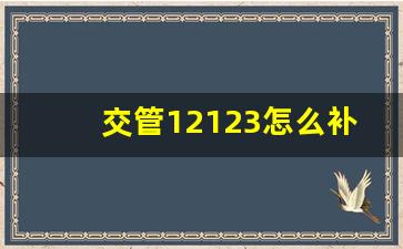 交管12123怎么补办行驶证_12123上补领行驶证准备材料