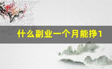 什么副业一个月能挣1000_增加1000收入副业