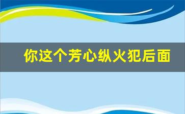 你这个芳心纵火犯后面_你对我芳心纵火下一句