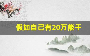 假如自己有20万能干嘛_20万创业能做什么生意