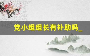 党小组组长有补助吗_村民小组长不履行职责怎么办