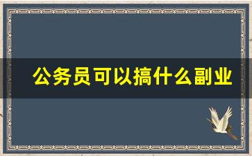 公务员可以搞什么副业_公务员考上研究生工资涨多少