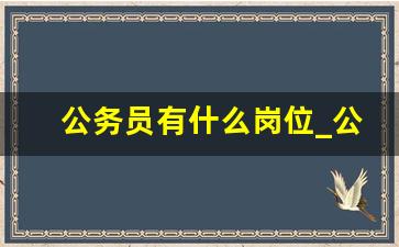 公务员有什么岗位_公务员都有哪些岗位可供选择