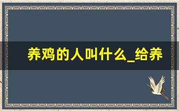 养鸡的人叫什么_给养鸡人起个外号