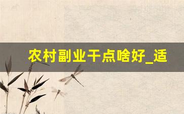 农村副业干点啥好_适合负债者的10个副业