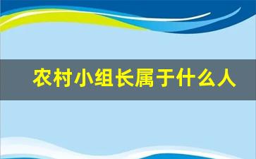 农村小组长属于什么人员_村民小组组长补贴文件