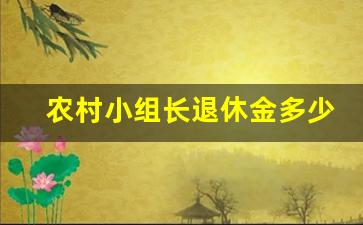 农村小组长退休金多少