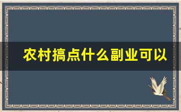 农村搞点什么副业可以挣钱_农村上班族适合搞啥副业