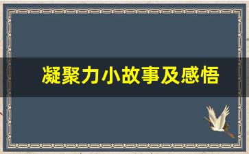 凝聚力小故事及感悟