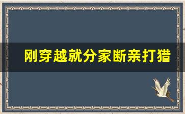 刚穿越就分家断亲打猎养家的小说