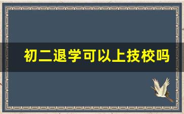 初二退学可以上技校吗_初中毕业生怎么自考大专