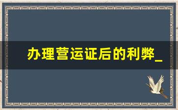 办理营运证后的利弊_个人名下的车可以办营运证吗