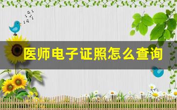 医师电子证照怎么查询_护士执业电子证照申请