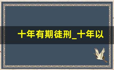 十年有期徒刑_十年以上有期徒刑一般什么罪