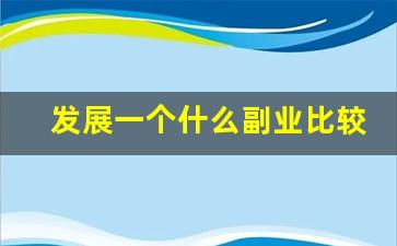 发展一个什么副业比较好_挣钱副业项目