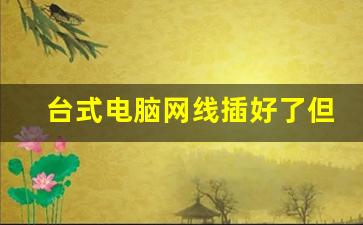 台式电脑网线插好了但是连不上网_电脑网线接口亮橙灯一闪一闪