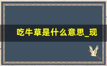 吃牛草是什么意思_现代汉语的语序规律