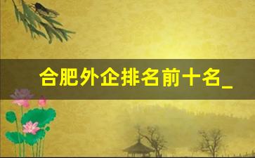 合肥外企排名前十名_外企500强企业