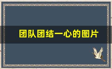 团队团结一心的图片