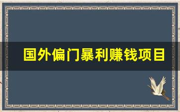 国外偏门暴利赚钱项目_黑偏门快速挣钱的路子