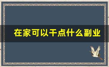 在家可以干点什么副业