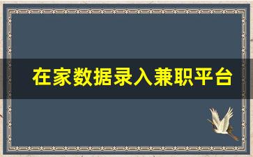 在家数据录入兼职平台