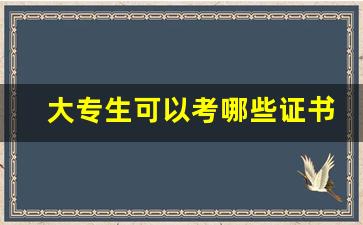 大专生可以考哪些证书_在家网上就可以考的证书