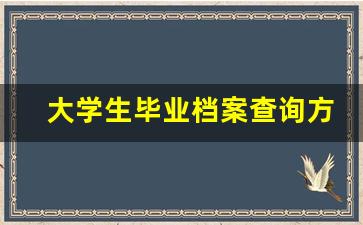 大学生毕业档案查询方式_大学毕业档案怎么查询在哪里