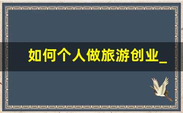 如何个人做旅游创业_怎样开个网上旅行社接单