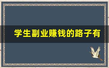 学生副业赚钱的路子有哪些_可以长期做的副业