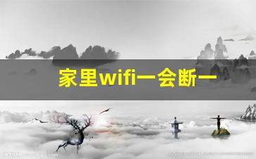 家里wifi一会断一会连