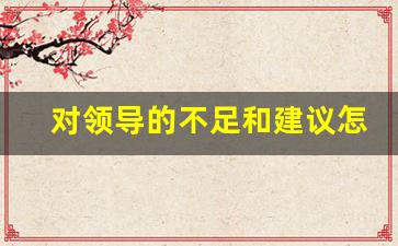 对领导的不足和建议怎么写_领导不足及需改进方面