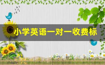 小学英语一对一收费标准_小学一对一收费100贵吗