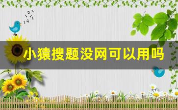 小猿搜题没网可以用吗