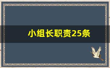 小组长职责25条