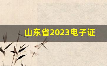 山东省2023电子证照相关文件_山东省公安厅制证中心