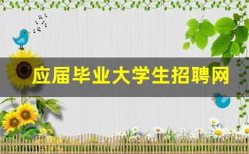 应届毕业大学生招聘网_招聘网