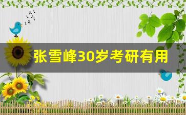 张雪峰30岁考研有用吗_26岁读研29岁才毕业的研究生