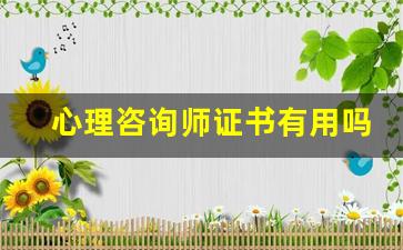 心理咨询师证书有用吗